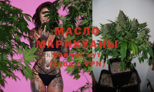молекула духа Балахна