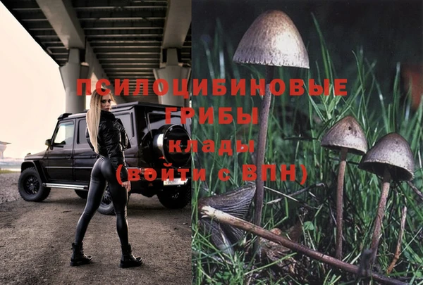 хмурый Балабаново