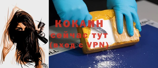 молекула духа Балахна