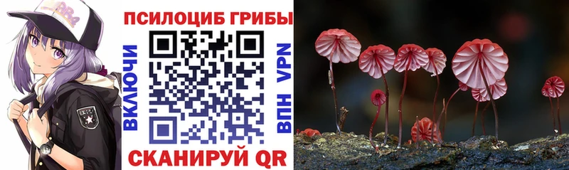 Галлюциногенные грибы мицелий  Игарка 